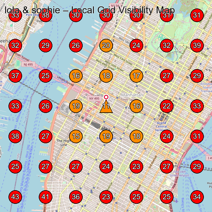 lola & sophie GeoGrid visibility map for Clothing Store in New York